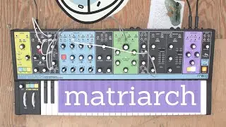 Moog - Matriarch (Patch Diary)