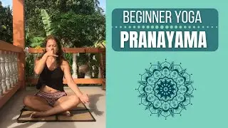 Pranayama Sequence (2020): Energising & Relaxing Breathwork [4 of 4]