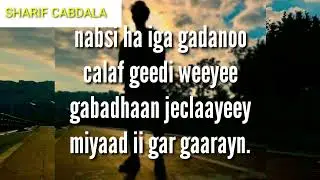 HEESTII NABSI HAYGA GADANOO CODKII SHAFIIF CABDALA