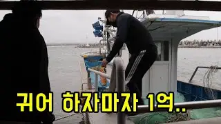 귀어하자마자 1억을 벌어들인 33살 청년