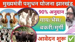 90% में गाय/भैंस आवेदन शुरू✅ Mukhyamantri Pashudhan Vikas Yojana Jharkhand Sarkar Aapke Dwar