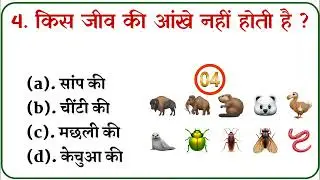 GK QUIZ || General Knowledge || GK In Hindi || Interesting GK || GK Question || GK || Word Skill ||