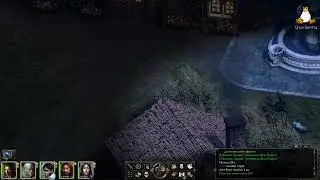 Pillars of Eternity (GNU-Linux) / Live / Part-5