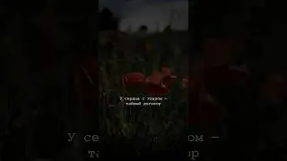 #мойголос тг: boiling_stell Тайный договор