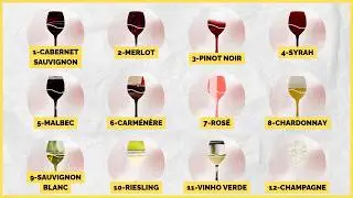 12 WINES Explained in 8 MINUTES | Quick Guide, Styles, Flavors and Pairing