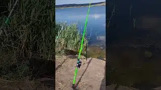 Рыбалка
