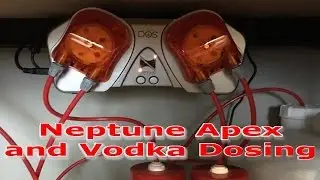Shallow reef update - Apex DOS and vodka dosing