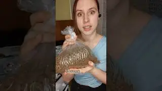 мои кошки зажрались 🤣 1часть 