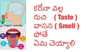 కరోనా వల్ల రుచి, వాసన పోతే ఏమి చెయ్యాలి/loss of taste,smell in covid 19 virus infection