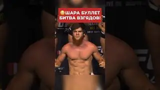 😳Шара Буллет впервые на UFC 294! Битва взглядов перед боем! 