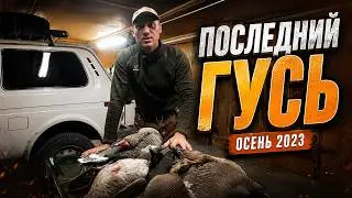 Последний гусь сезона | Закрытие осенней охоты на утку и гуся 2023 г.