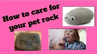 How to care for your pet rock//gracecrystal4