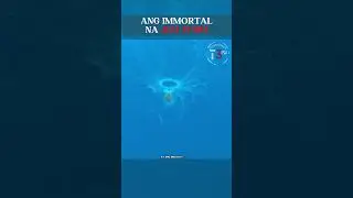 Ang Imortal na Jellyfish