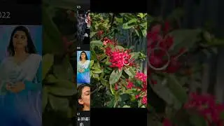 Photo editing tutorial in lightroom 