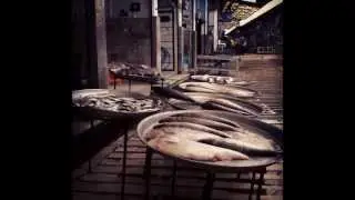 Iran 2012