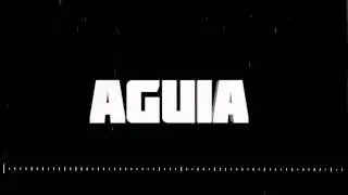 Intro Victor Aguia