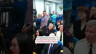 БЕЗДОМНЫЕ ЖИВОТНЫЕ МАГАДАНА