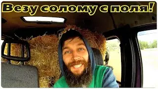 ПЕРВАЯ РАБОТА НА ГАЗЕЛИ!