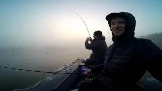 Живое озеро оказалось мертвым
