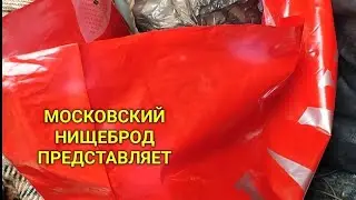 Обогащаюсь на мусорках Москвы. N 158.