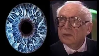 Что? Где? Когда? Вопрос о радужке глаза