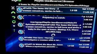 SageTV HD200 HD Theater with Playon's Netflix, Hulu and CBS Online Video