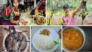 bhai kana anile? ame sabu mja kari kan khailu..#short.. pat -3 vloge re 😘achi..//.. @
