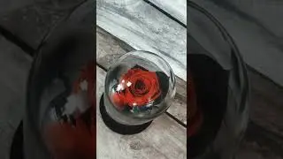 Роза в колбе Mini