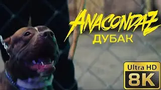 Anacondaz — Дубак (8K 50fps)
