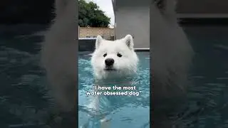 Water comes in different forms