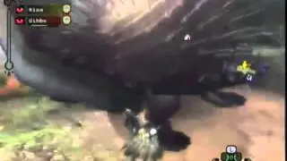 Monster hunter tri wifi - Grab a gobul+