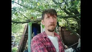 После дождя вновь вышло солнце и травка выросла везде