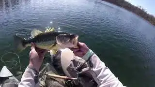 Early Season Bass On The Fly