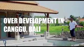 CANGGU, BALI'S DISAPPEARING RICE FIELDS SHORT DOCUMENTARY