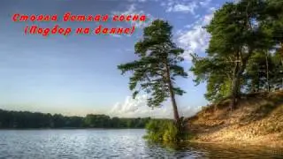 Стояла ветхая сосна (Подбор на баяне)