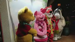Disney World Meet and Greet Winnie the Pooh, Tigger, Eyeore, Piglet