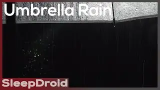 ► Rain on a Plastic Umbrella ~Relaxing Rain Sounds for Sleeping, Rain at Night (Lluvia para dormir)