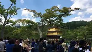 Golden Pavilion, Kyoto, Japan