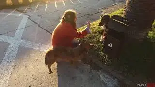 Зимний солнечный день в Гагре