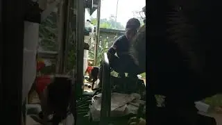 Pasang Oil Cooler