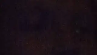 Dares By Fans