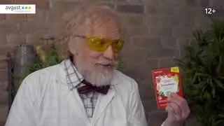 Батрайдер — когда не нужно разбираться в насекомых!