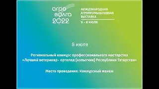 Конкурсный манеж. Региональный конкурс «Лучший ветеринар- ортопед (копытчик) Республики Татарстан»