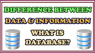 Data, Information and Database | Difference between Data and Information |  What is Database?- Tamil