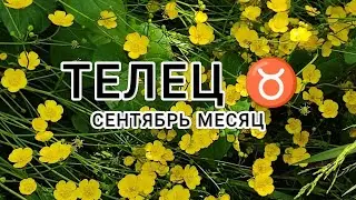 ТЕЛЕЦ ♉ тароскоп сентябрь месяц &TAURUS taroscope month of September