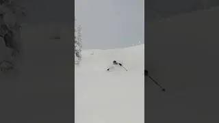 Powder to Live for 