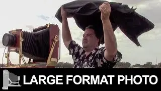 Ilford Delta 100 – Large Format Film Photography