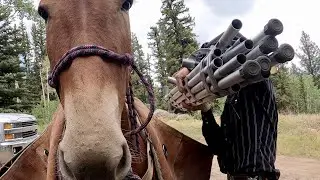 Packing Into Camp: (Major Announcement for Broncs and Donks!!)