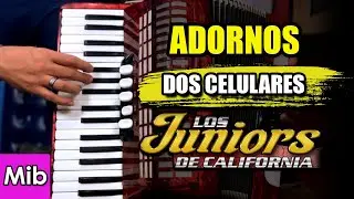 Dos Celulares - ADORNOS BÁSICOS Acordeon de teclas - Los Juniors de California