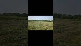 так будет не всегда...